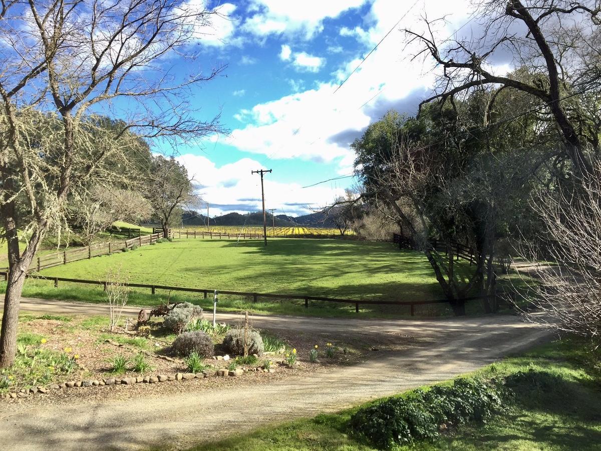 Rustridge Ranch & Winery Bed & Breakfast St. Helena Exterior foto
