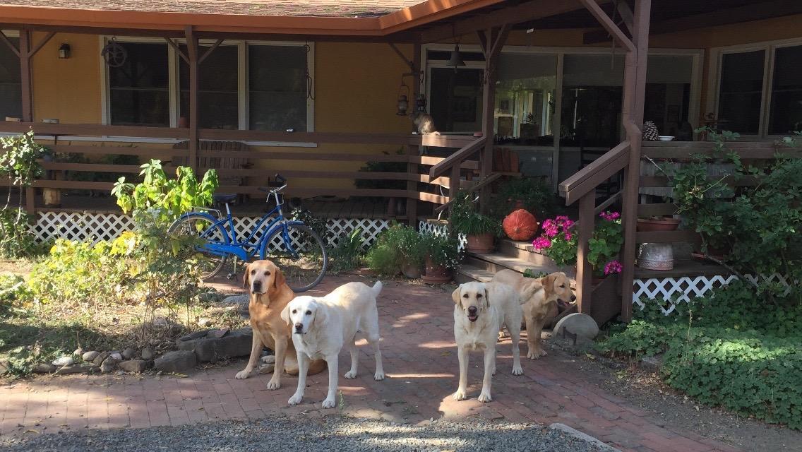 Rustridge Ranch & Winery Bed & Breakfast St. Helena Exterior foto