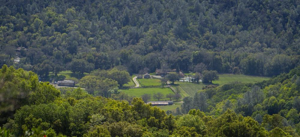 Rustridge Ranch & Winery Bed & Breakfast St. Helena Exterior foto