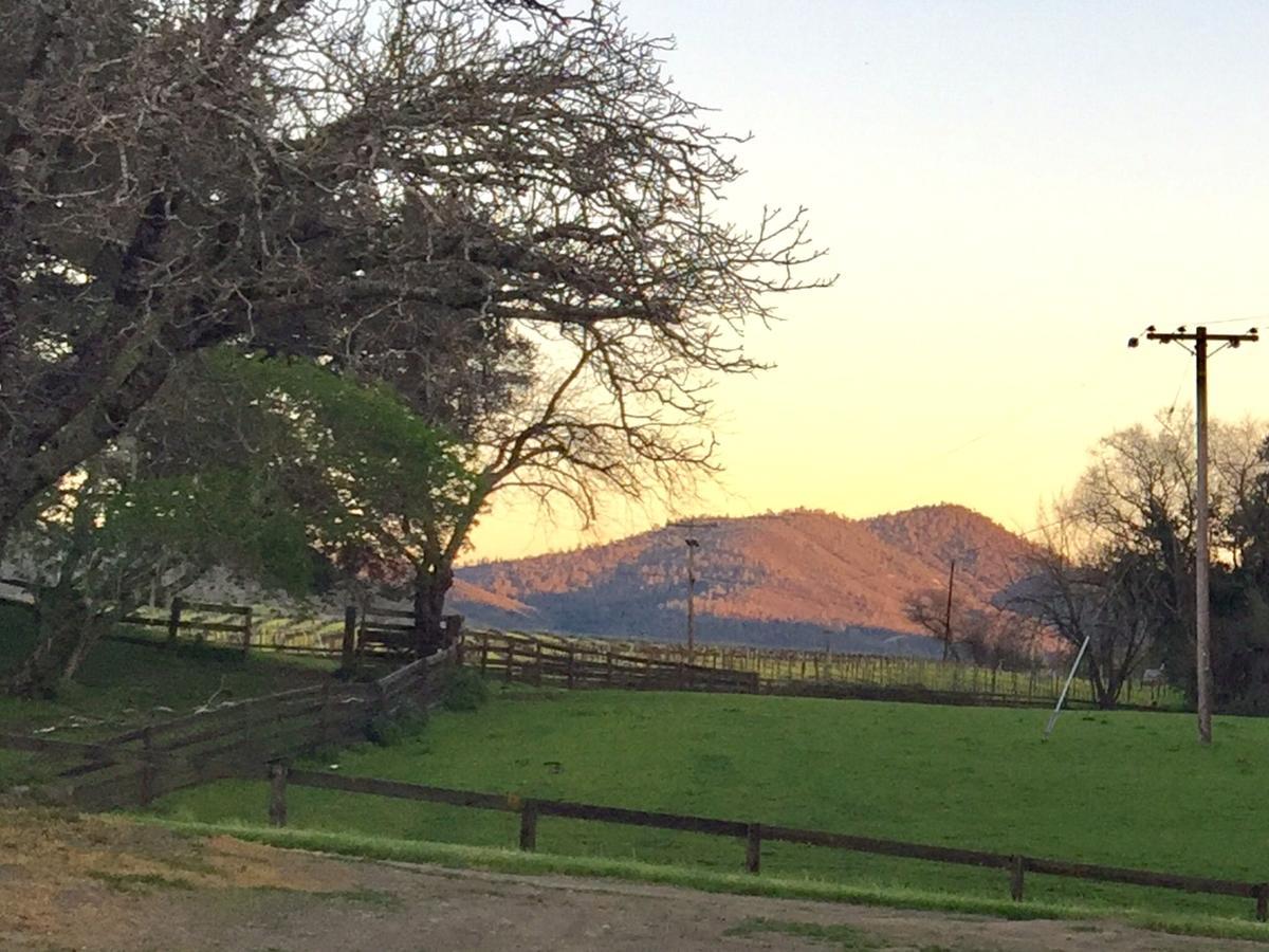 Rustridge Ranch & Winery Bed & Breakfast St. Helena Exterior foto