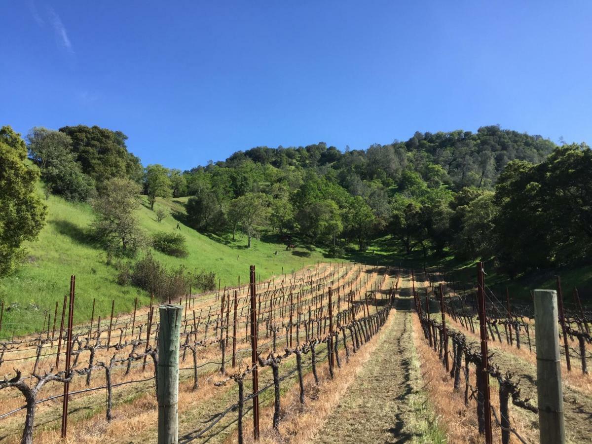 Rustridge Ranch & Winery Bed & Breakfast St. Helena Exterior foto