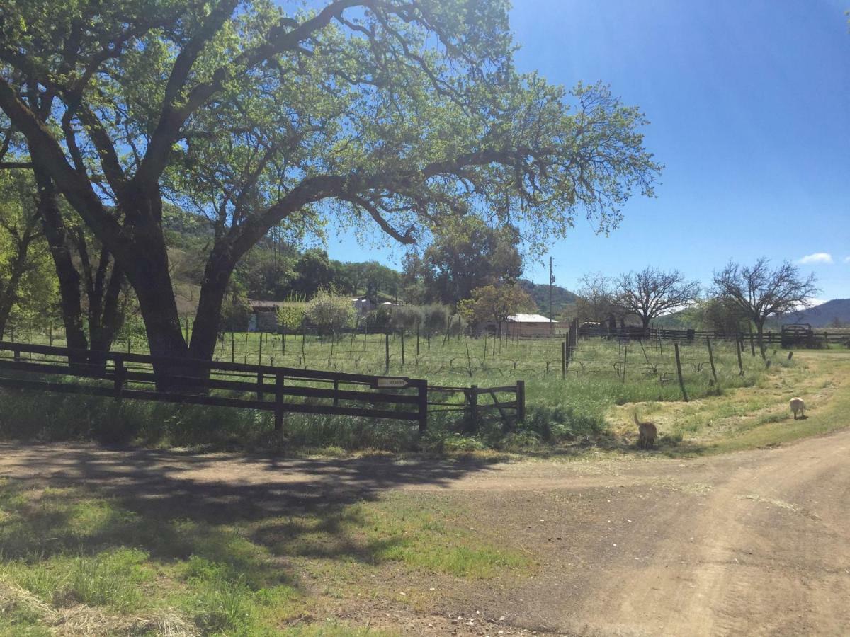 Rustridge Ranch & Winery Bed & Breakfast St. Helena Exterior foto