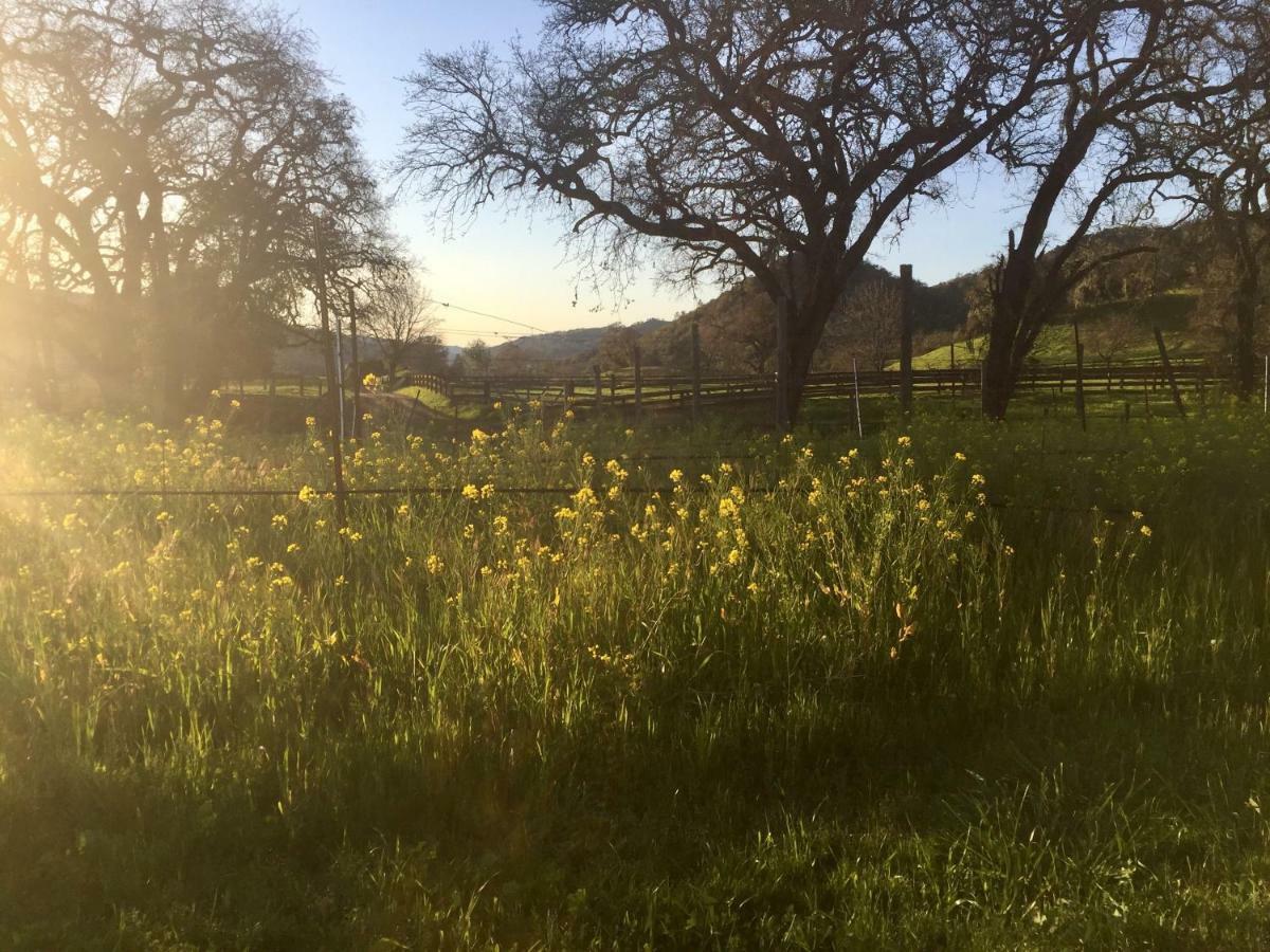 Rustridge Ranch & Winery Bed & Breakfast St. Helena Exterior foto